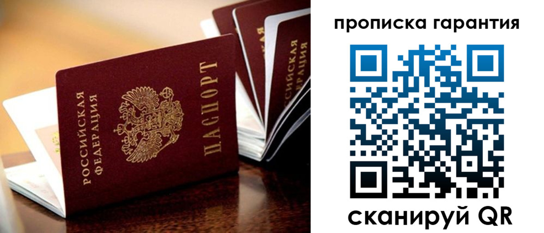 прописка поиск в Железногорске